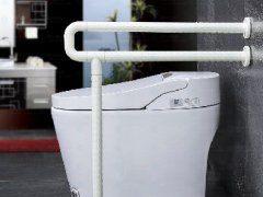 030A坐便器扶手-石家庄维轩
